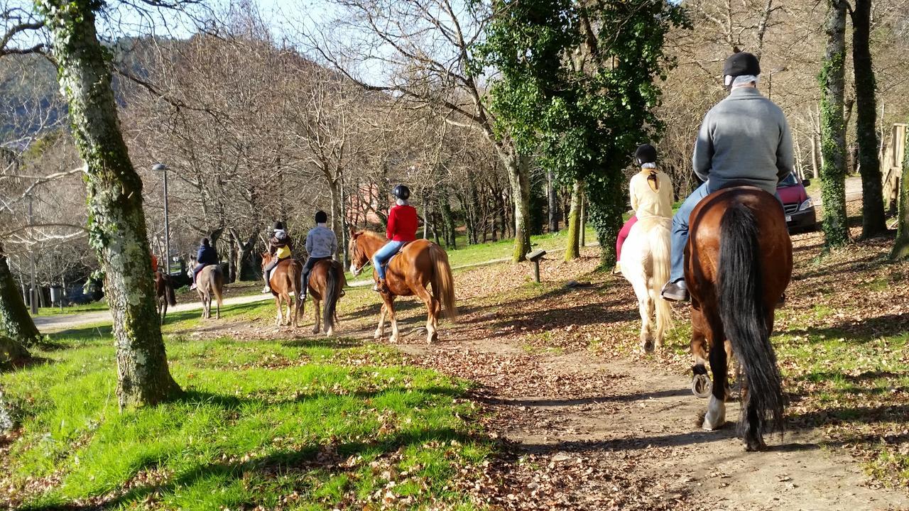 Cabanas Ecoparque Marín Buitenkant foto